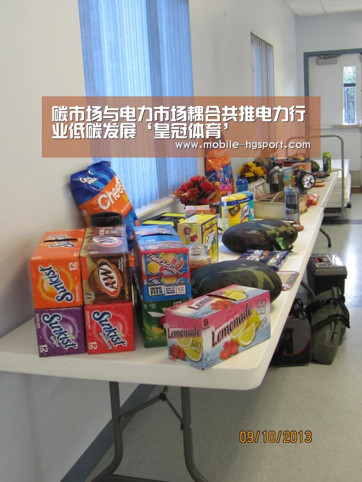 碳市场与电力市场耦合共推电力行业低碳发展‘皇冠体育’(图3) 皇冠体育app