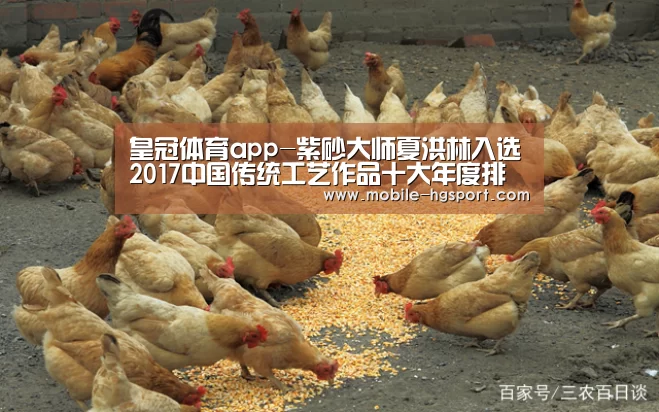 皇冠体育app-紫砂大师夏洪林入选2017中国传统工艺作品十大年度排行榜(图1) 皇冠体育