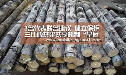 皇冠体育官网