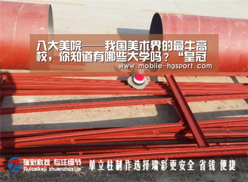 八大美院——我国美术界的最牛高校,你知道有哪些大学吗?“皇冠体育下载”(图3) 皇冠体育app