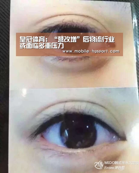 皇冠体育:“营改增”后物流行业或面临多重压力(图3) 皇冠体育下载
