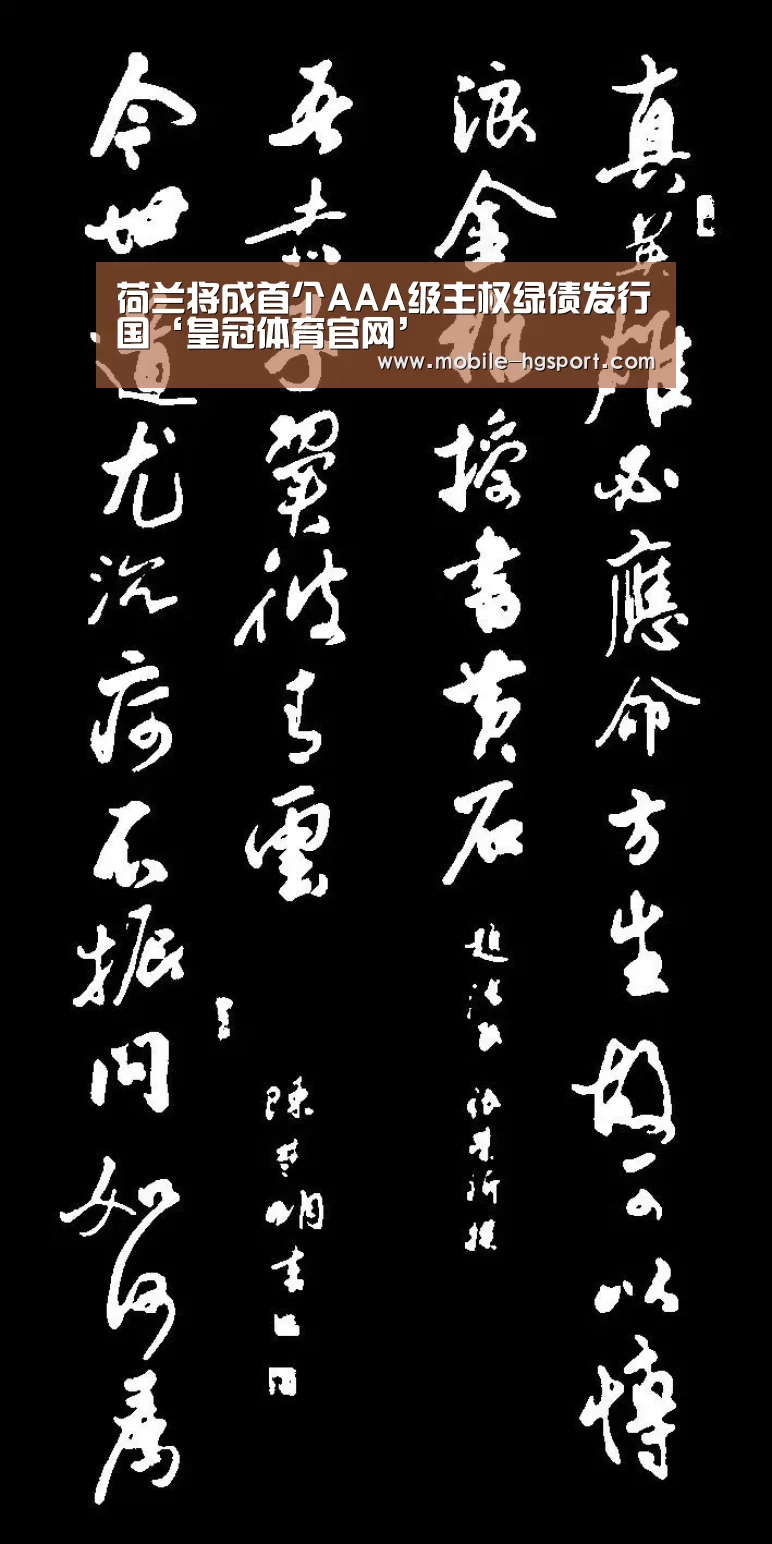 荷兰将成首个AAA级主权绿债发行国‘皇冠体育官网’(图3) 皇冠体育app