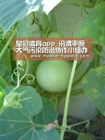皇冠体育app_汾渭平原大气污染防治协作小组办公室致函山西、河南、陕西 提示做好重污染应对工作(图3) 皇冠体育下载