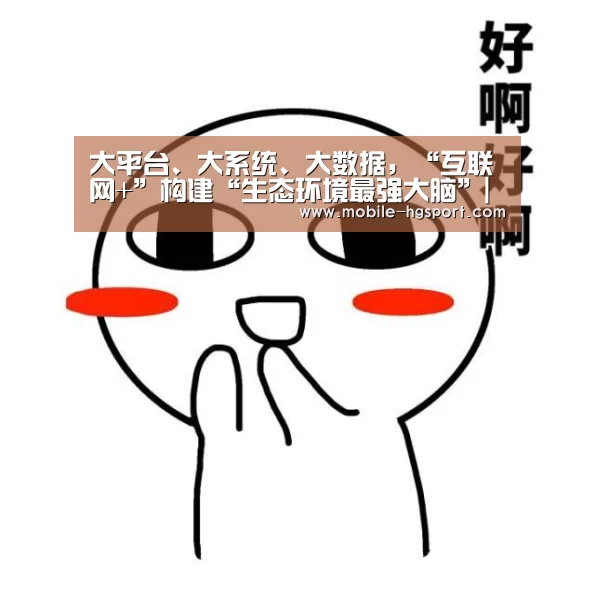 大平台、大系统、大数据，“互联网+”构建